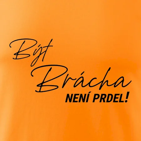 Být brácha není prdel