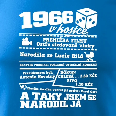1966 v kostce