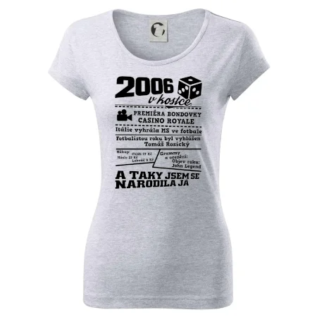 2006 v kostce