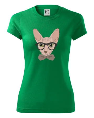Hipster sphynx