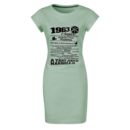 1963 v kostce