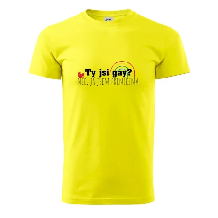 Gay princezna