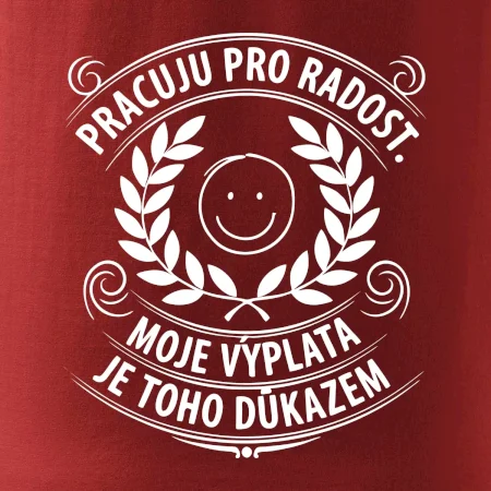 Pracuju pro radost. moje výplata je toho důkazem