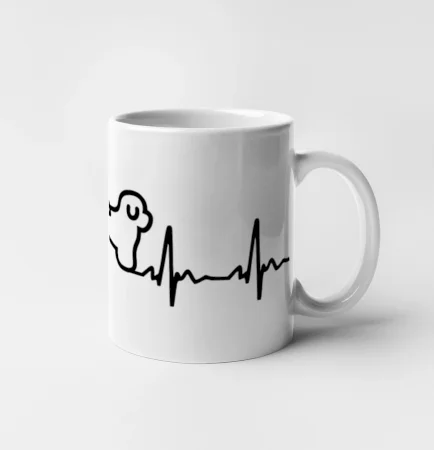 Bišonek ekg
