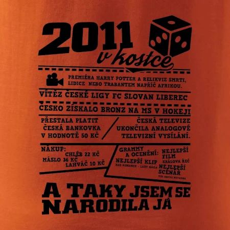 2011 v kostce