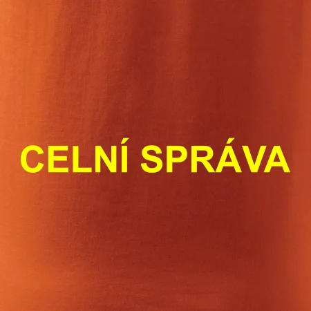 Celní správa