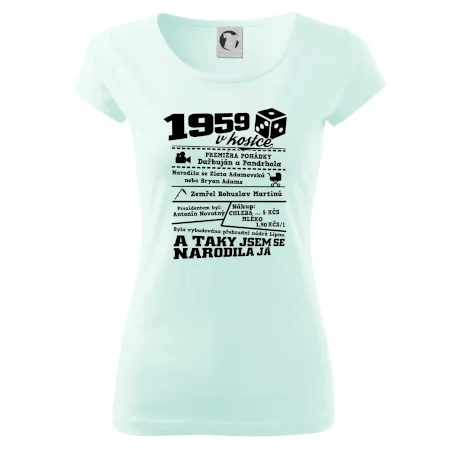 1959 v kostce