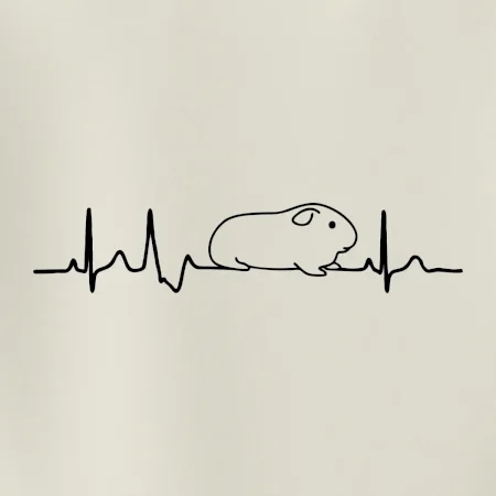 EKG morče