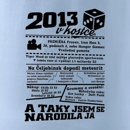 2013 v kostce