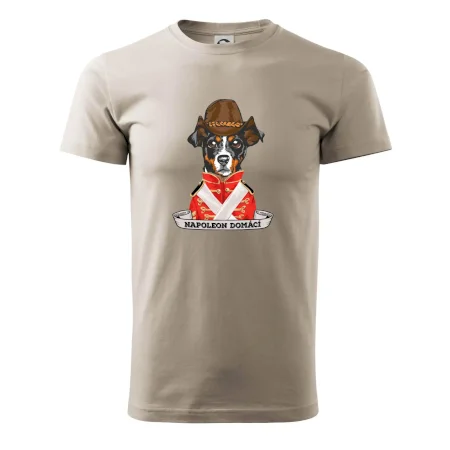 Napoleon domácí pes kříženec