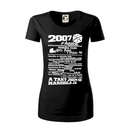 2007 v kostce