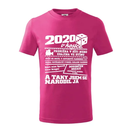 2020 v kostce