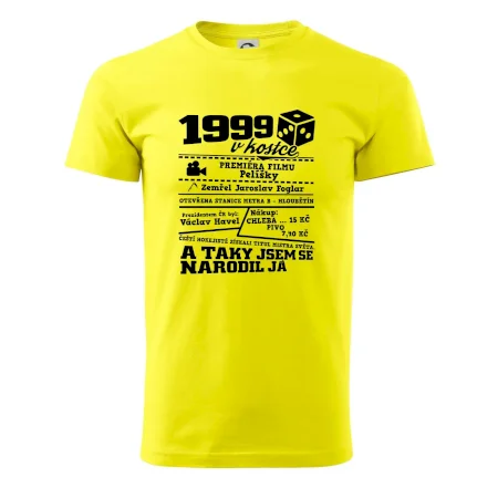 1999 v kostce
