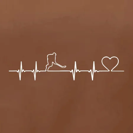 Hokejový hráč EKG