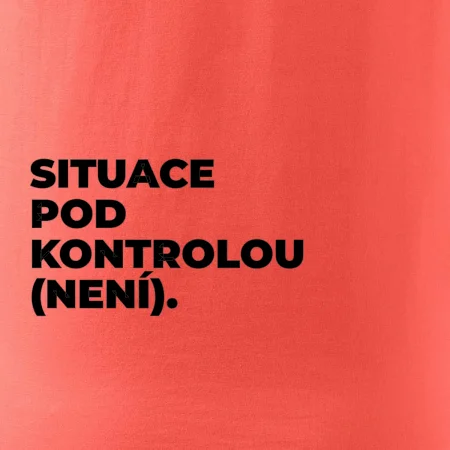 SITUACE POD KONTROLOU (NENÍ).