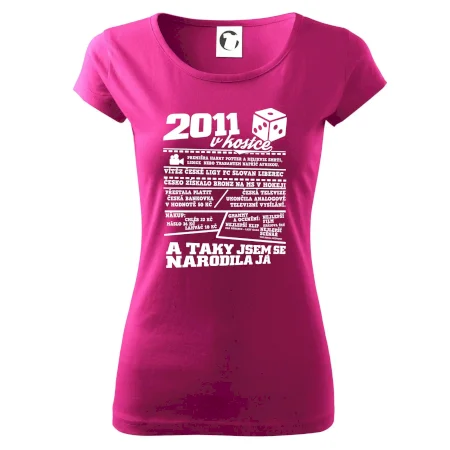 2011 v kostce