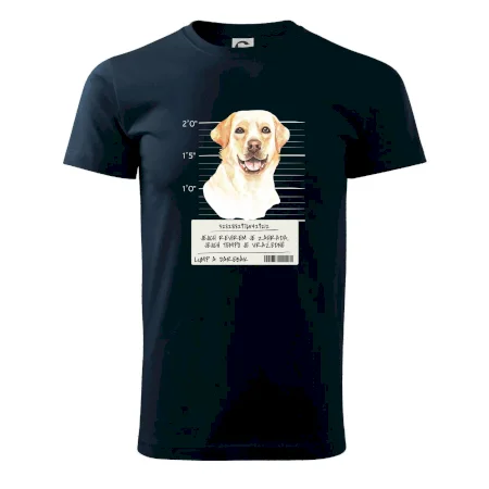 Lump a darebák labrador
