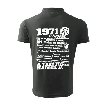 1971 v kostce