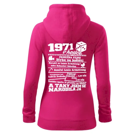 1971 v kostce