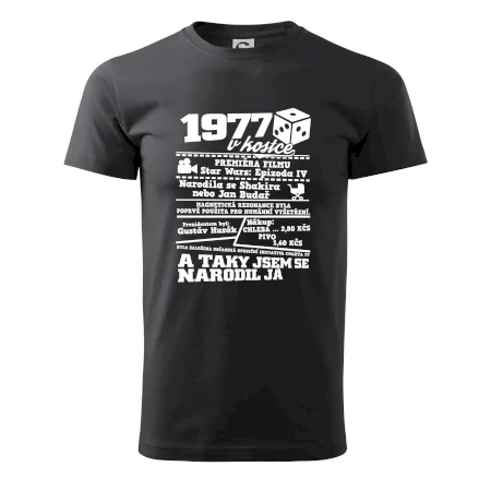 1977 v kostce