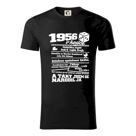 1956 v kostce