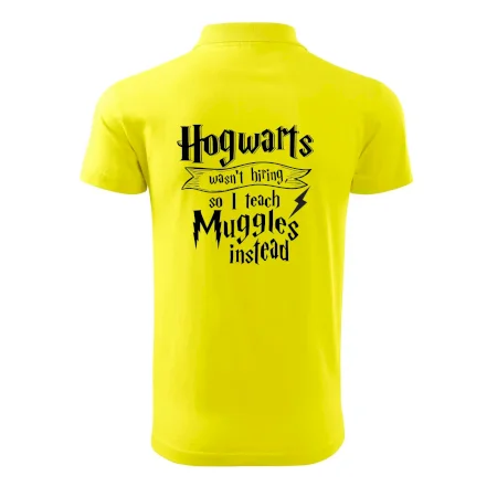 Harry - Hogwarts wasn’t hiring, so I teach Muggles instead