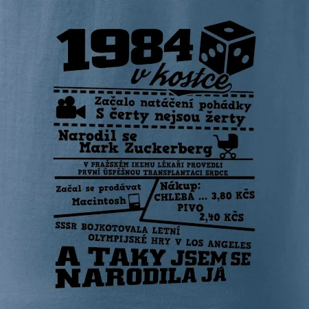 1984 v kostce