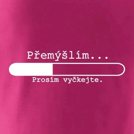 Přemýšlím