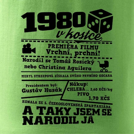 1980 v kostce