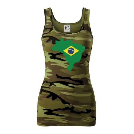 Brazílie vlajka v mapě