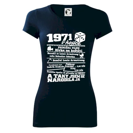 1971 v kostce