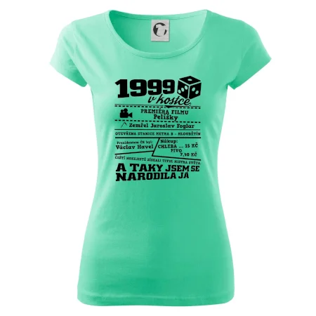 1999 v kostce