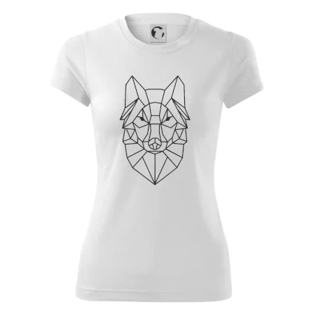 Geometrie - vlk