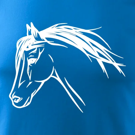Kůň - hlava celá