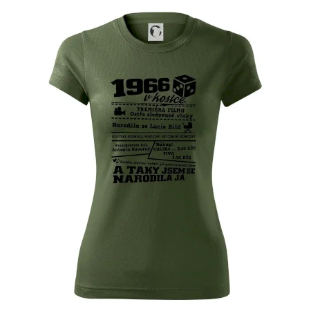 1966 v kostce