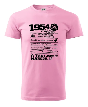 1954 v kostce