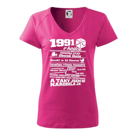 1991 v kostce