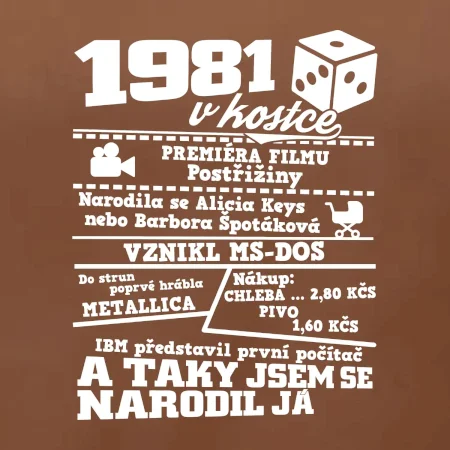 1981 v kostce