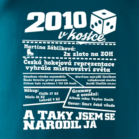 2010 v kostce