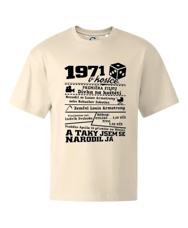 1971 v kostce