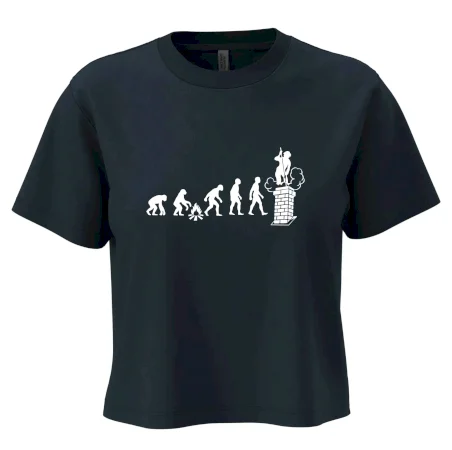 Evoluce kominík