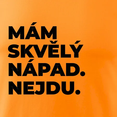 MÁM SKVĚLÝ NÁPAD. NEJDU.