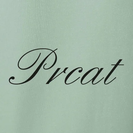 Prcat (souložit vulgárně)