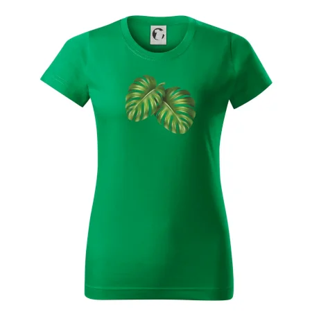 Monstera - dva listy