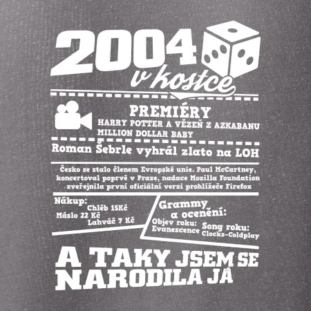 2004 v kostce