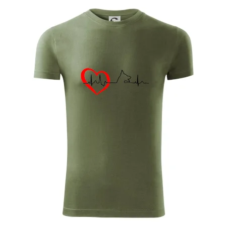 Německý ovčák ekg