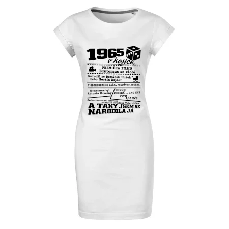 1965 v kostce