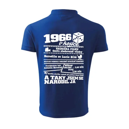 1966 v kostce