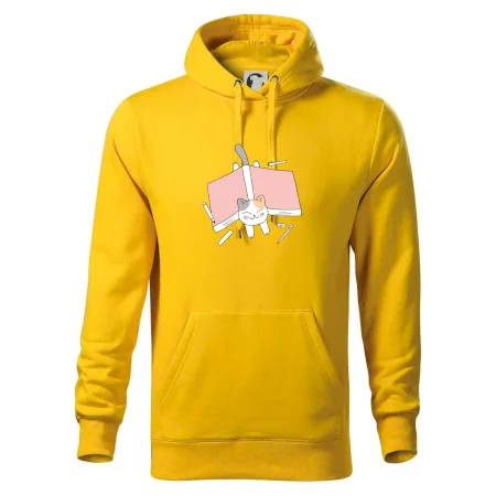 Učení na státnice kočka
