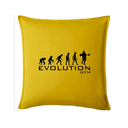 Evoluce Gym